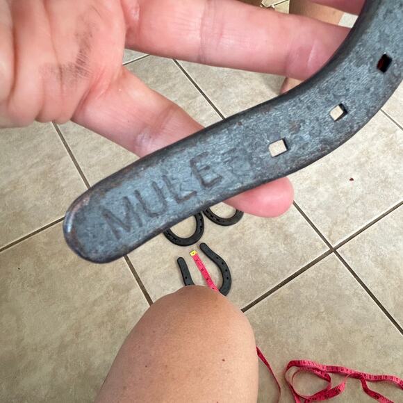 Lot of 4 Diamond Hot-Forged 2 PL Mule Horse Shoes Unused - Picture 3 of 7